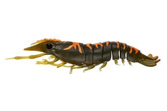 Sumo Shrimp Unrigged 5